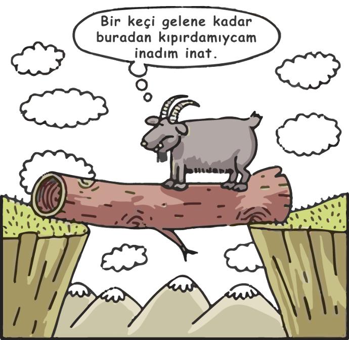 Rizeli Olmak Nedir Ne Değildir?