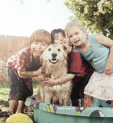 Bebeğinizi köpekle büyütmek için mantıklı sebepler