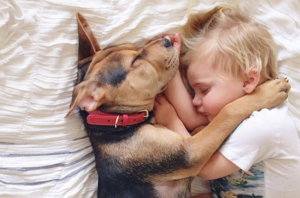Bebeğinizi Köpekle Büyütmek İçin Mantıklı Sebepler