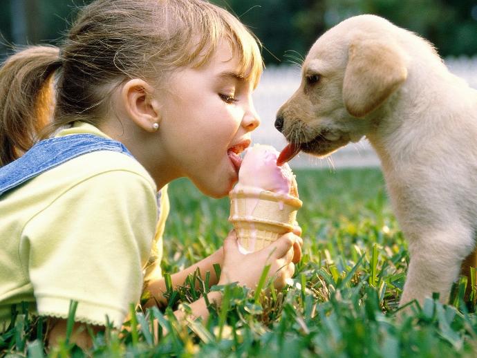 Bebeğinizi Köpekle Büyütmek İçin Mantıklı Sebepler