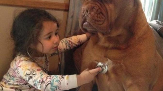 Bebeğinizi Köpekle Büyütmek İçin Mantıklı Sebepler