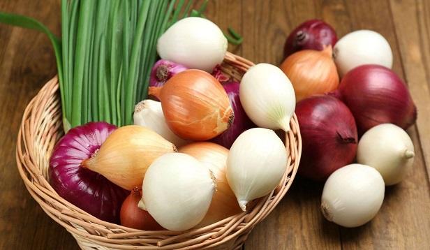 Ev ve Sokak Kedilerine Kesinlikle Verilmemesi Gereken Bazı Yiyecekler
