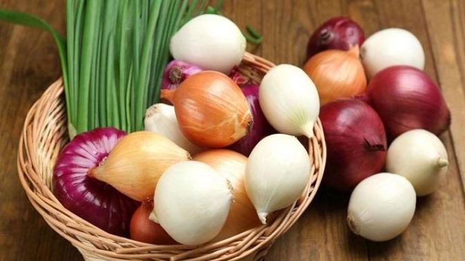 Ev ve Sokak Kedilerine Kesinlikle Verilmemesi Gereken Bazı Yiyecekler