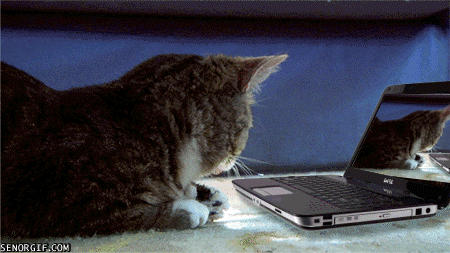 Yeni üyeler için ks rehberi