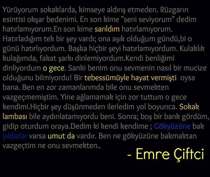 Bir Kadın Sevdim.