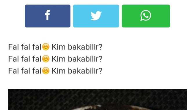 KizlarSoruyor'da Gına Getiren Sorular