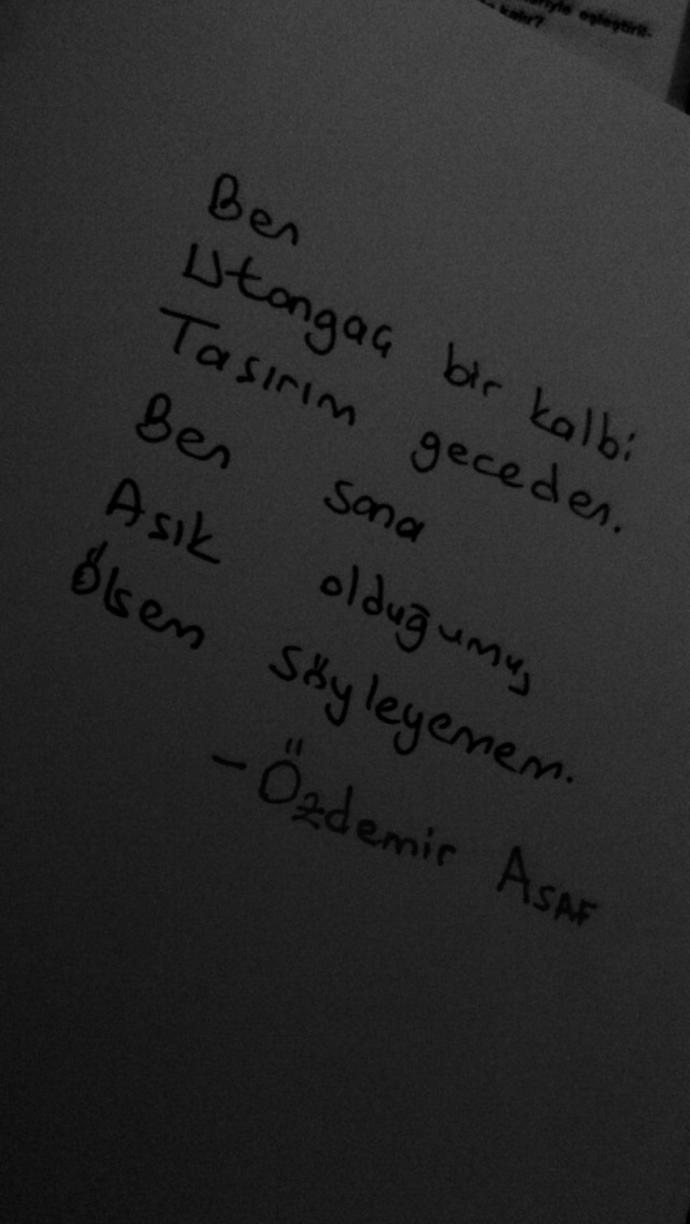 Kalbimin En Derinine Gömdüğüm: Sustuklarım