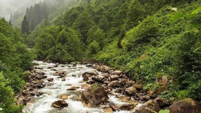 Bu Düzenin İçinde Yok Olup Gideceğiz