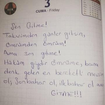 Ve yine taşmak isteyen bir veda bulutunun tüm ağırlığı gözlerimde...