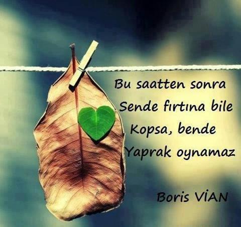 İntikam Soğuk Yenen Bir Yemektir!