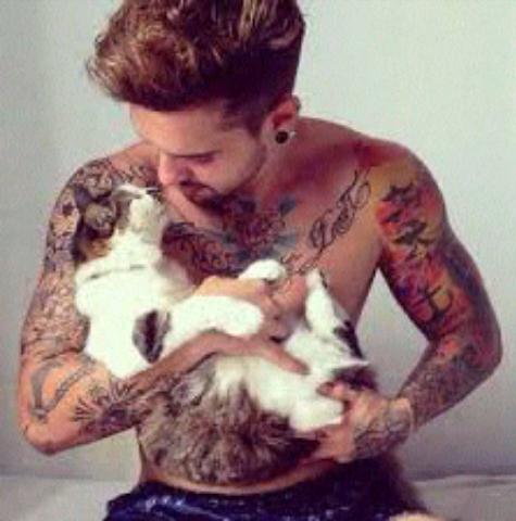 Bir Kedi Sahibi Olmak