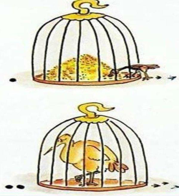Başımızın Belası:Zaaflar
