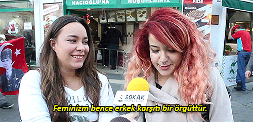 Feminizm Nedir?
