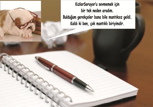 KizlarSoruyor Neden Seviliyor?