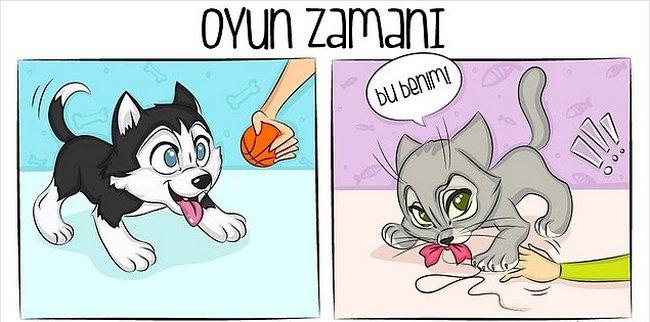 Kedi mi, Köpek mi? Hangisini İstediğiniz Sizin Yapınızla İlgili