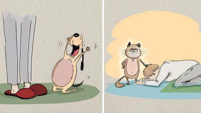 Kedi mi, Köpek mi? Hangisini İstediğiniz Sizin Yapınızla İlgili