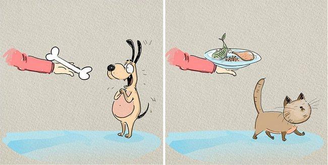 Kedi mi, Köpek mi? Hangisini İstediğiniz Sizin Yapınızla İlgili