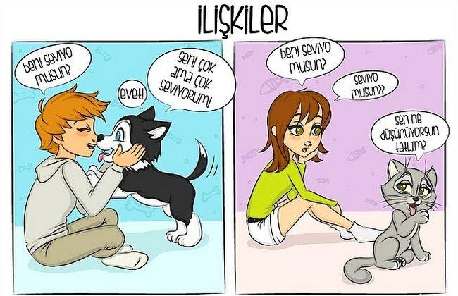 Kedi mi, Köpek mi? Hangisini İstediğiniz Sizin Yapınızla İlgili