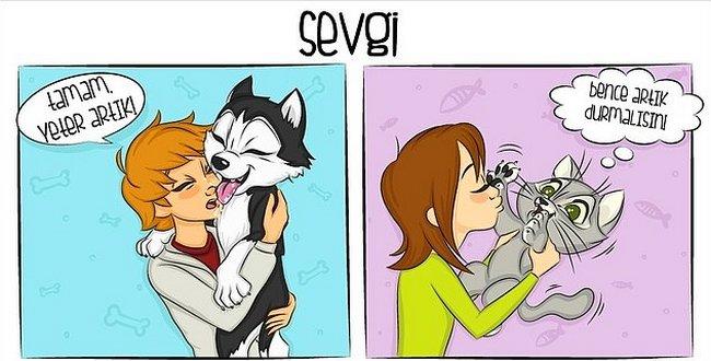 Kedi mi, Köpek mi? Hangisini İstediğiniz Sizin Yapınızla İlgili