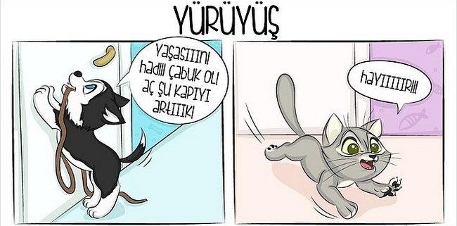 Kedi mi, Köpek mi? Hangisini İstediğiniz Sizin Yapınızla İlgili