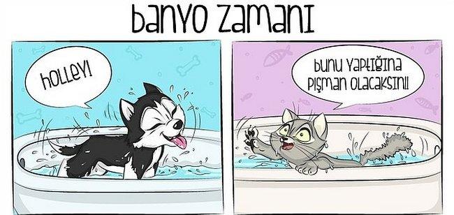 Kedi mi, Köpek mi? Hangisini İstediğiniz Sizin Yapınızla İlgili