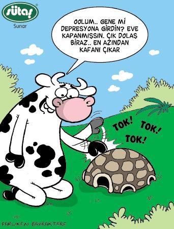 NEDEN YALNIZIZ?