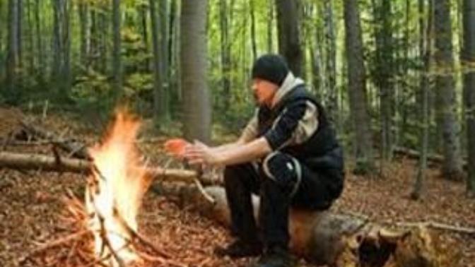 Survival - Hayatta Kalma Sanatı