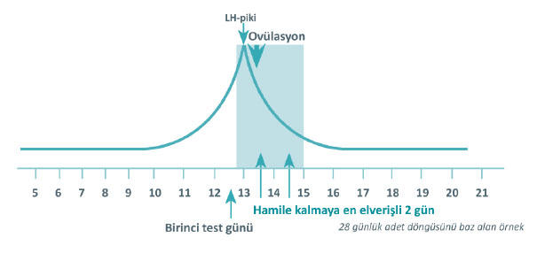 Acaba Hamile miyim?