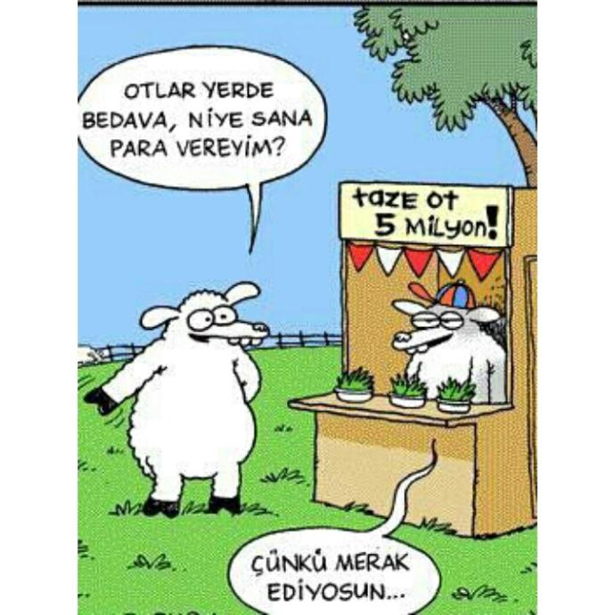 Duygularımız Neden Var?
