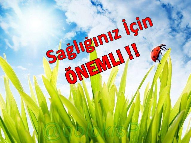 Plastik Şişelerdeki Numaraların Farkında mısınız?