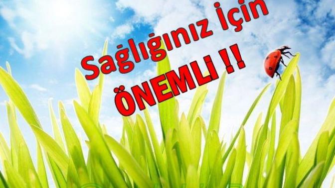 Plastik Şişelerdeki Numaraların Farkında mısınız?