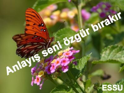 Kadınların İstediği Eş Modeli