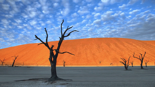 GIF'lerle Doğanın Gazabı