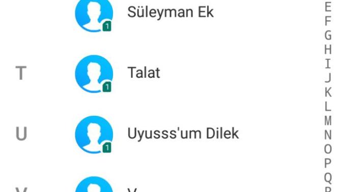 Kız Abisi Olmak Zordur Paşam