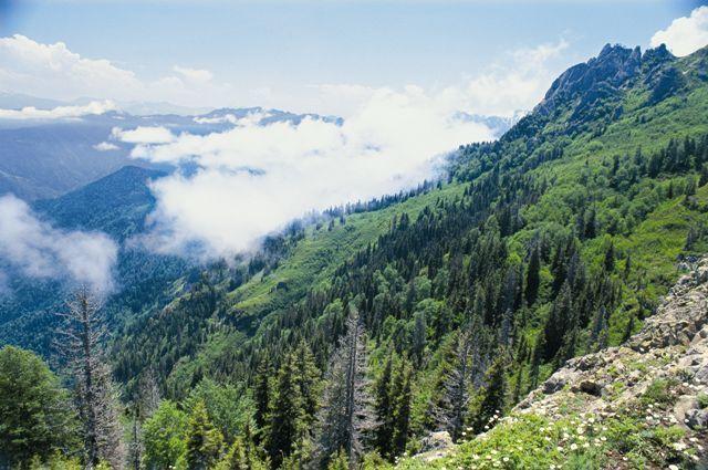Bir Karadeniz Aşığı Olmak