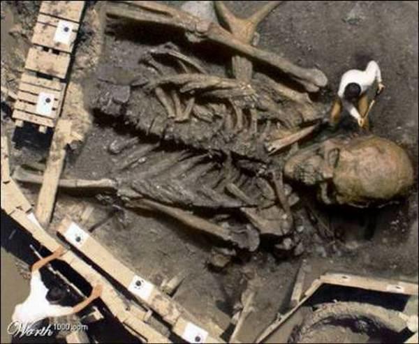 Devasa İnsan İskeletleri ve Efsanevi Nefilimler