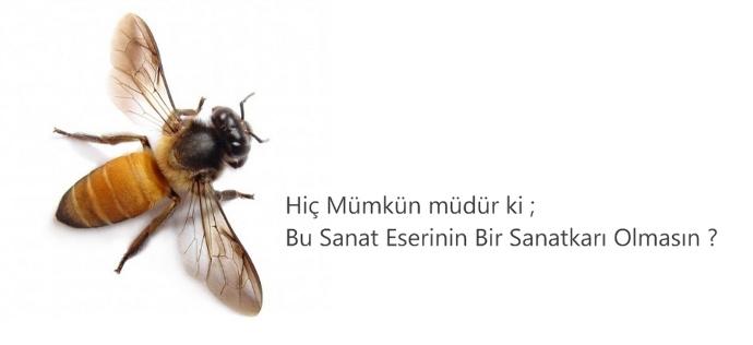Seksin Bir Sanat Olduğunu Unutmayın