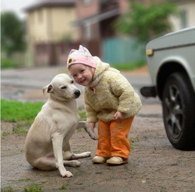Köpekler ve Erkekler