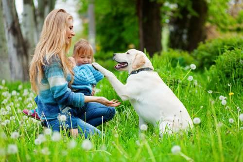 Köpekler ve Erkekler