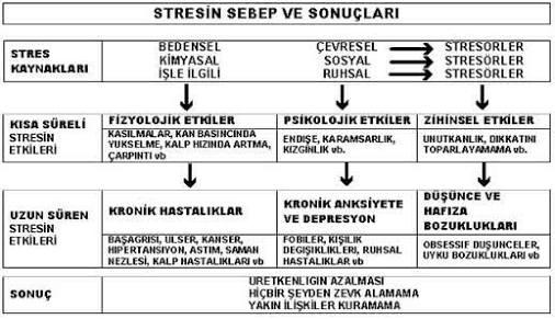 Mutlu Olmak İçin