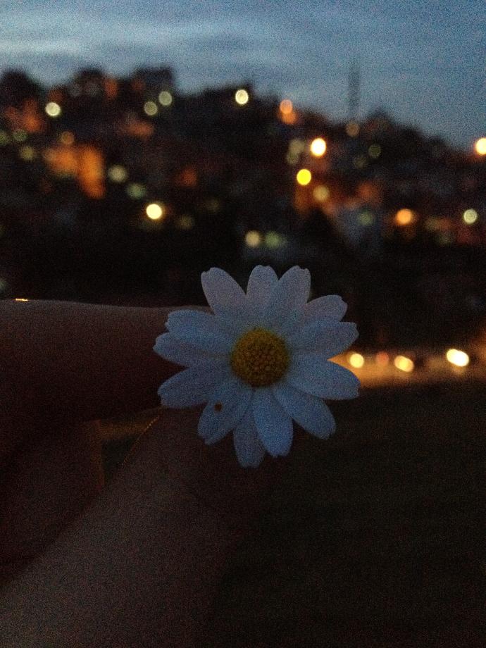 Sıradan insanın, saçma dertleri
