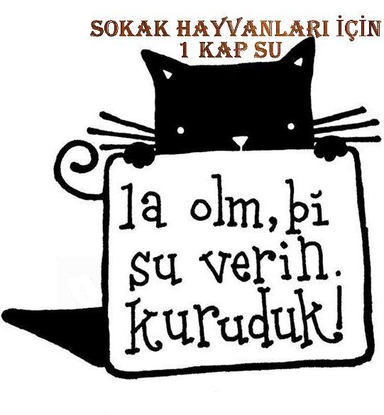 6 Tip Instagram İnsanı