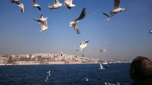 İstanbul'u İstanbul Yapan Özellikler
