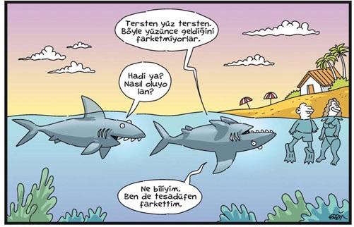 Yüzme Bilmeyenler İçin Başlangıç Rehberi