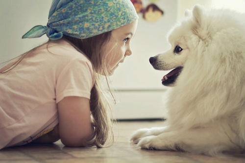 Köpek Sahibi Olanların Yaşadığı 10 Durum