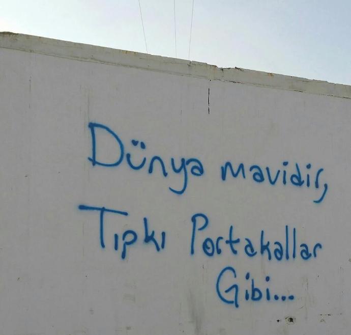 Manik Çocuğun Gizli Defteri