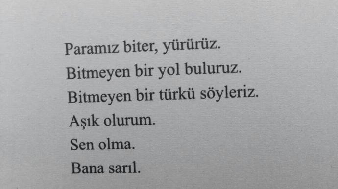 Manik Çocuğun Gizli Defteri