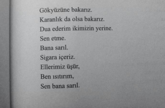Manik Çocuğun Gizli Defteri