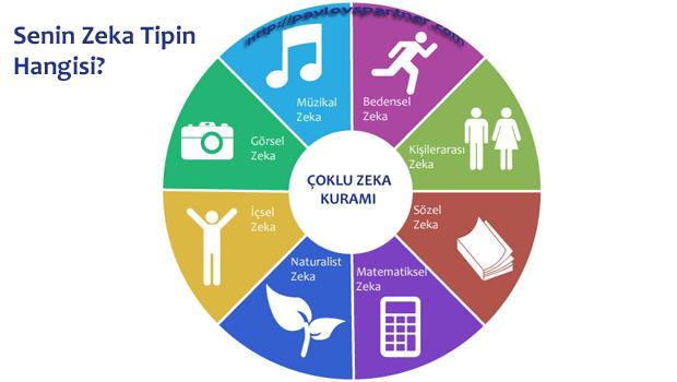 Zeki Erkek Tahrik Ediyor