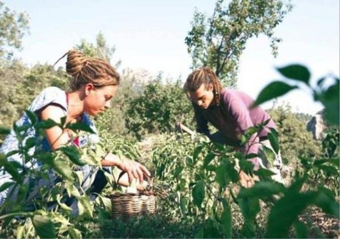 Mutluluğun Formülünü Bulan İnsanlar